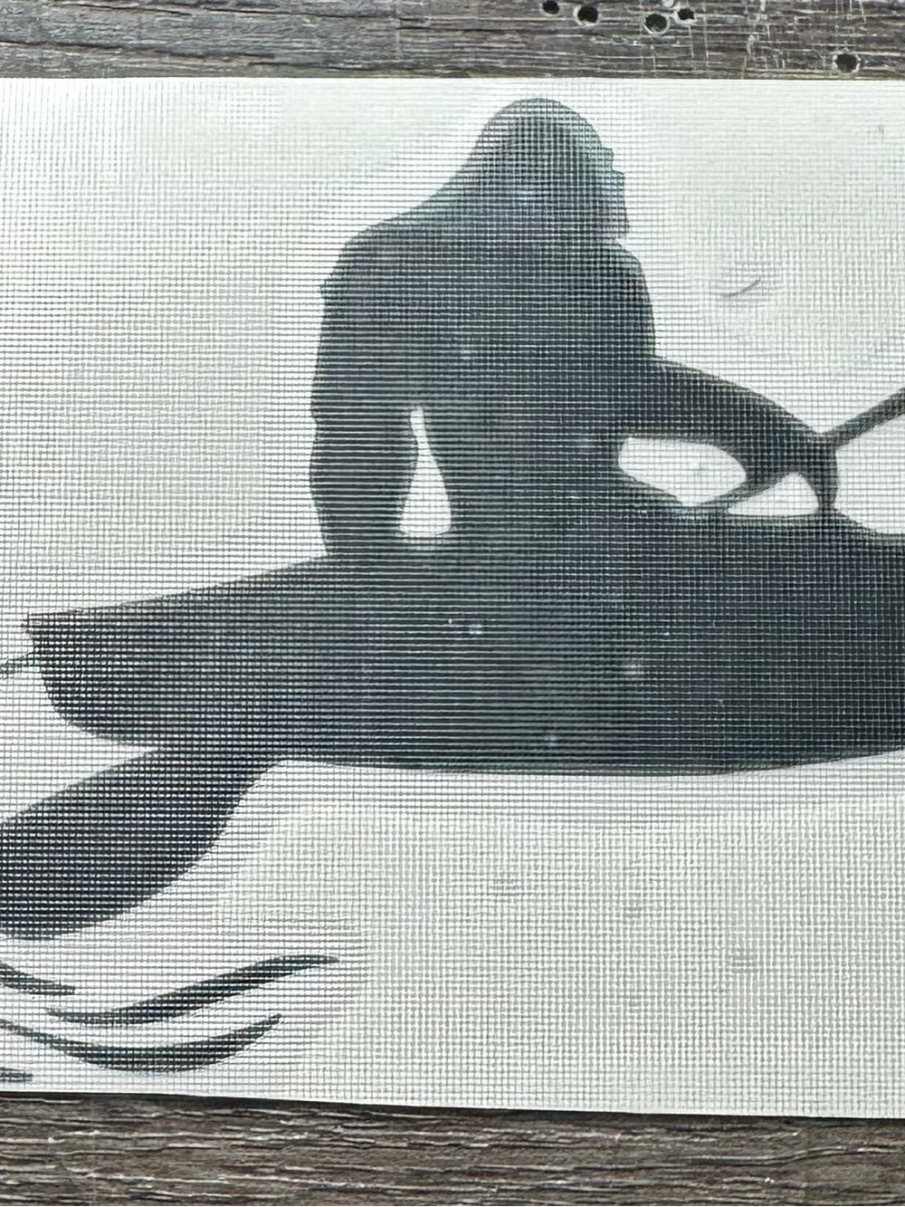 Kayak vinyl decal